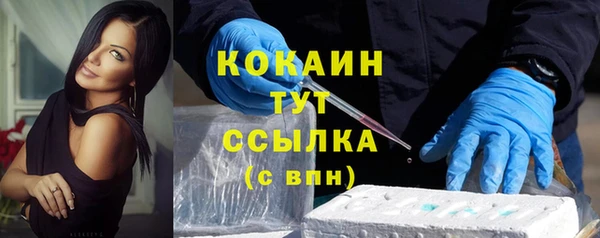 стаф Новозыбков