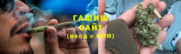 стаф Новозыбков