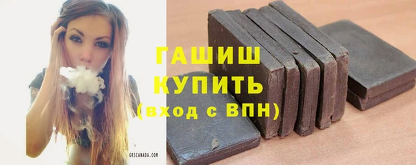 стаф Новозыбков