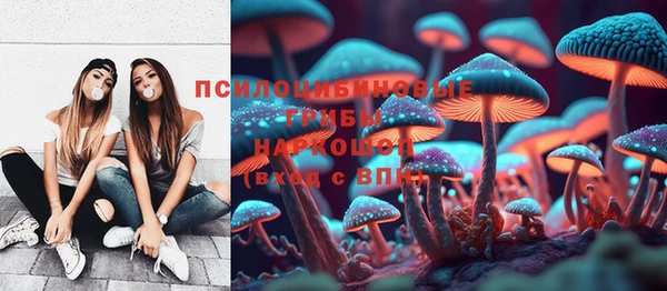 стаф Новозыбков
