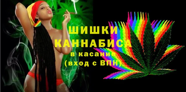 стаф Новозыбков