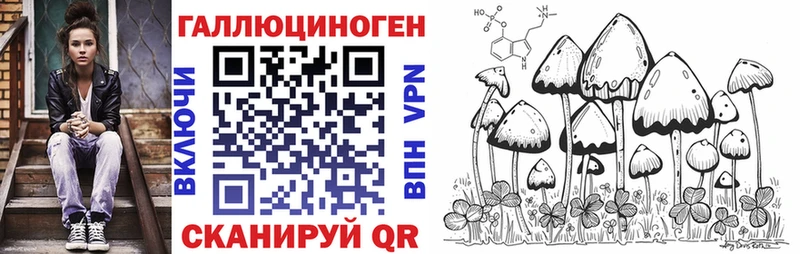 купить наркоту  Торжок  Галлюциногенные грибы GOLDEN TEACHER 